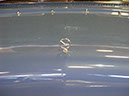 DSCF1348